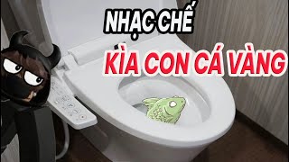 KÌA CON CÁ VÀNG KÌA CON CÁ VÀNG NẰM TRÊN BẾP