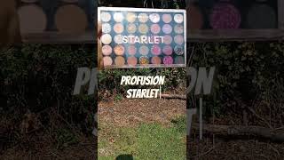 Profusion starlet palette #shortvideo #fallmakeup #makeup #eyemakeup