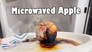 Microwaving an Apple for 13 Minutes and 27 Seconds (NSE)