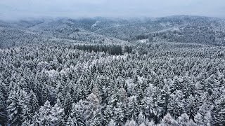 Der Thüringer Wald von oben im Schnee Teil 1 [4k drone footage]