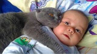 When your cat becomes a precious friend 👶❤️🐱Cute Cats and Human