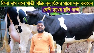 কিনা দাম বলে বেশি দুধের মুন্ডি গাভী বিক্রি লাভের টাকা বন্যার্থদের মাঝে দান করবেন dairy farm