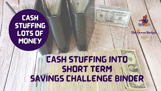 CASH STUFFING INTO SHORT TERM SAVING CHALLENGE BINDER || LOTS OF MONEY GOING IN THERE!