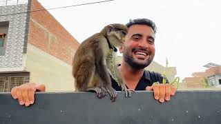 Monkey Ko Mini Zoo Le Aya Sab Dekh K Bht Khush Hogae😍#petsvloging #monkey #animals