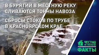 В Бурятии в реку сливаются тонны навоза, сбросы стоков по трубе в Красноярском крае.