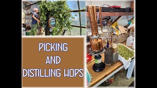 Picking and Distilling Hops