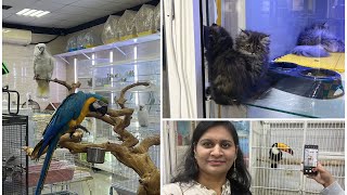 Dubai Pet market | Biggest pet market in UAE| AL Wasan birds and pet market|