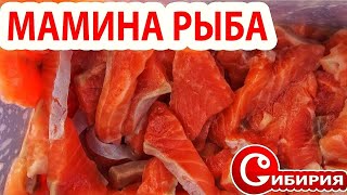 ЗНАМЕНИТАЯ МАМИНА РЫБА! ЗАПРЕЩЕННАЯ ЕДА НА РЫБАЛКЕ ИЗ  КРАСНОЙ РЫБКИ! Рецепты Андрей СИБИРИЯ