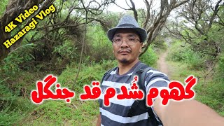 رفتم برای چکر گهوم شدم قد جنگل | خیلی سرگردان کرد 😏