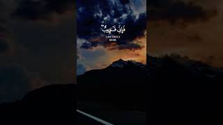 [ وَإِذَا سَأَلَكَ عِبَادِی عَنِّی فَإِنِّی قَرِیبٌۖ أُجِیبُ دَعۡوَةَ ٱلدَّاعِ ]