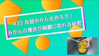 【おうちで学ぶ東京バイオ】♯33 缶詰みかんを作ろう！みかんの薄皮が綺麗に取れる秘密