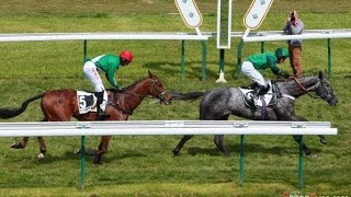 Fixe le Kap - Compiegne 2017 Prix du Cher Listed Hurdle Race (02/05/17)