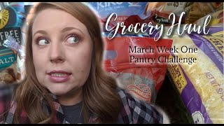 March 2020 Week One Grocery Haul | Pantry Challenge