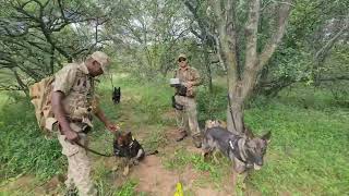 New Cameras for Anti-Poaching Unit's Pangolin Research Project