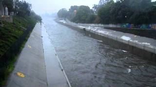 2010-12-20 Ballona Creek at Duesquene Bridge in Culver City pt 1