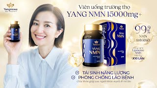 10 lợi ích sức khoẻ mỗi ngày với Viên uống trường thọ Yang NMN 15000mg+