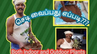 How to plant Hibiscus_ Plant|Indoor and Outdoor Plants| என்னுடைய முதல் கற்றல்  From My  விவசாயி 😜