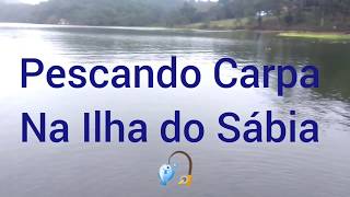 Pescaria de Carpa na Ilha do Sábia