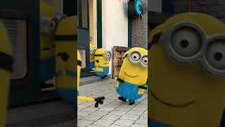 Minions inside my House!