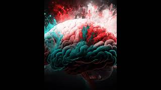 The Human Brain #explore #shorts #viral #brain #biology #edit