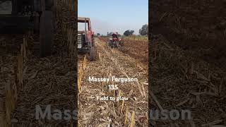 Massey Ferguson 135 original sounds and field to plow #farmequipment #automobile #farming