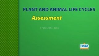 Plant and Animal Life Cycles - Assessment