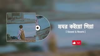 ভ্রমর কইয়ো গিয়া [ Slowed & Reverb ] Bhromor Lofi // Surojit // Radharaman Dutta // Zihans Lofi