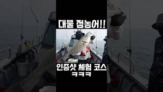 대물 점농어 인증샷 체험 코스 ㅋㅋ ( 집에선 친구가 잡은 줄 알아요 ㅎㅎㅎ ) #루어낚시 #fishing #낚시