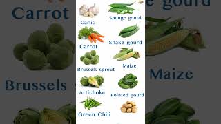 #Vegetable #short #vegetablelist #vegetablesname #shortvideo  #kids #learning #fruit #vocabulary