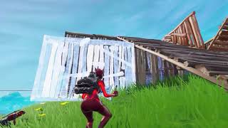 Fortnie some kills