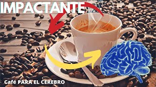 14 IMPACTANTES BENEFICIOS del CAFE en el CEREBRO QUE (NO SABIAS)