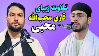 تلاوت زیبای قاری محب الله محبی | سوره های مبارکه حشر و کوثر | مجمع قرانی نهج القرآن | سنبله 1403