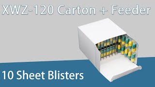 stacking 10 blister cards in one carton Packing Machine with Customizable Feeder