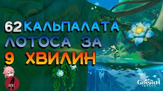 Лотос Кальпалата | Маршрут Збору | Матеріали Вознесіння | Genhsin Impact 3.0 Українською