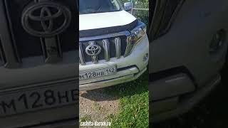 Toyota Prado 150 обзор защиты переднего бампера