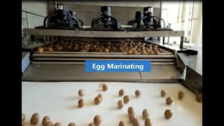 Egg Boiling Cooling Peeling Marinating Line