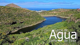 CARNE de AGUA, Lomo de TIRIOR (comentada) (febrero 2023)