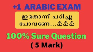 ഇത് പഠിച്ചാൽ 5 മാർക്ക് ഉറപ്പിക്കാം...✌️🤩 | Plus One Arabic Previous Question | Arabic Villa