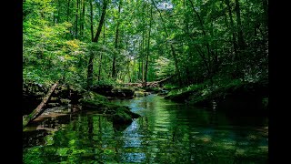 10 Horas de músicas tranquilas e sons da natureza para dormir