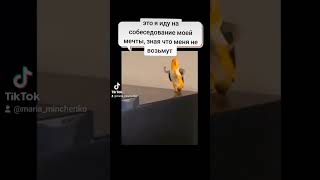 жизненные приколы