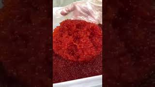 Salmon Roe/Красная икра #shorts #cat  #seafood #asmr