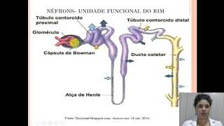 AULA 5- NEFROLOGIA- PROF. JOSIANE