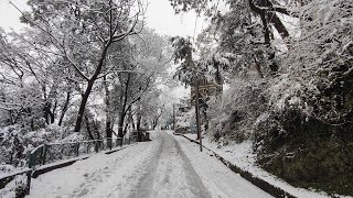 Kasauli covered in a blanket of snow 2022| Snowfall in Kasauli  | Kussowlie TV