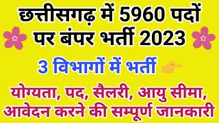 छत्तीसगढ़ में 5960 पदों पर बंपर भर्ती 2023 अक्टूबर | Chhattisgarh Government Job Recruitment 2023