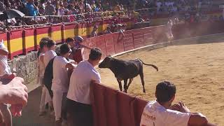 Muñecos de Capea.  SAN ROQUE 2024. Calatayud.