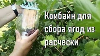 Комбайн для сбора ягод из расчески