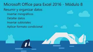 Microsoft Excel: Resumir y organizar datos