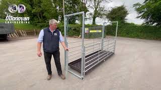 Sheep Footbath Race