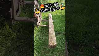 🔥МТЗ 80 💪«Беларус»💪 #shorts #трактор #деревня #мтз #село #мтз82 #мтз80 #сельскоехозяйство #лпх  #т40