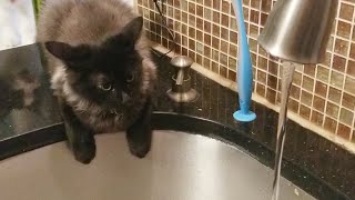 Jimmy & Puff vs. The Faucet